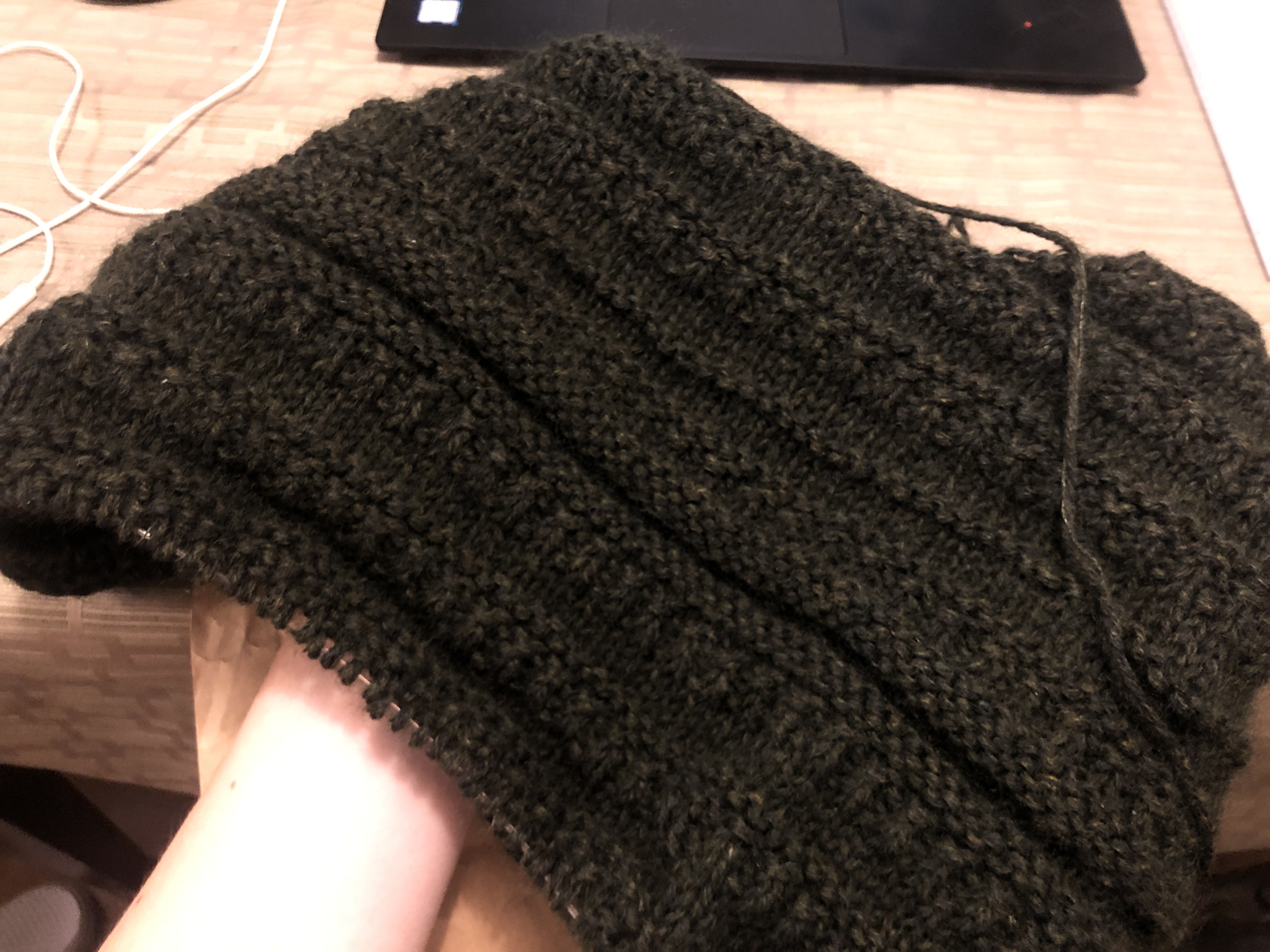 a photo of a green sweater in progress